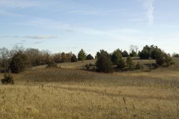 Build Your Dream Log Cabin In Central Wisconsin