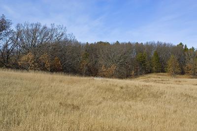 Prime Hunting Land For Sale In Central Wisconsin