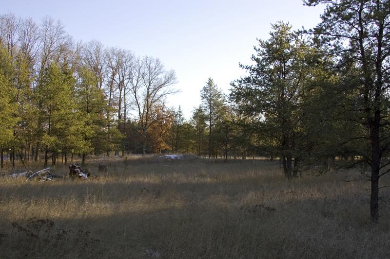 Cheap Land For Sale In Adams County, Wi