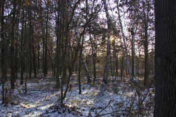Photo Of Central Wisconsin Real Estate For Sale