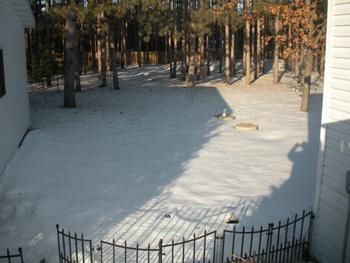 Scenic Fenced In Yard Surrounded By Woods