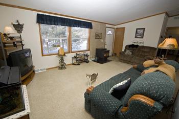 Beautiful Living Room With Pellet Stove For Extra Heat