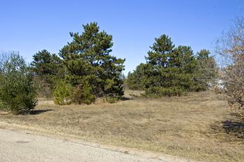Vacant Land In Dell Prairie Township