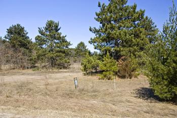 Affordable, Buildable Getaway Parcel