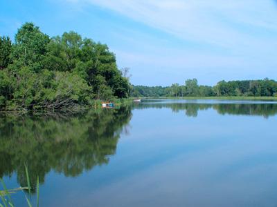 Beautiful Building Site With Deeded Fawn Lake Access