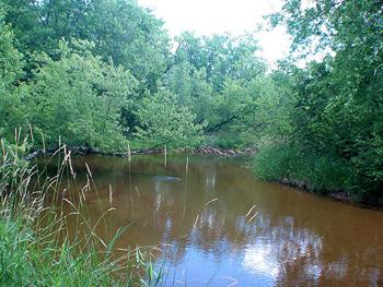 Photo Of Your Big Roche-A-Cri Creek Access!