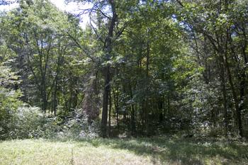 Explore Central Wisconsin On Miles Of Hiking Trails!