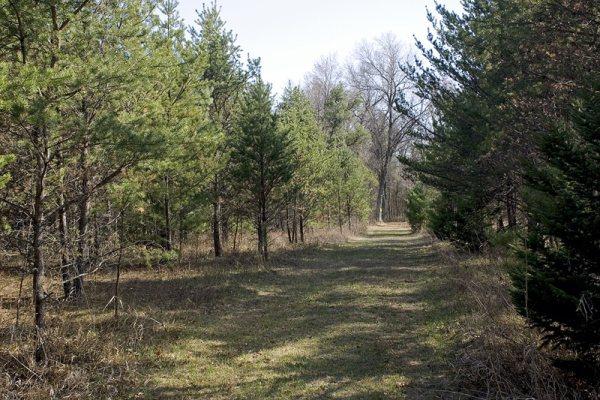 Hunt For Whitetail Deer & Wild Turkeys On Nature Trails