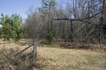 Big Flats Township Wooded Acreage For Sale!