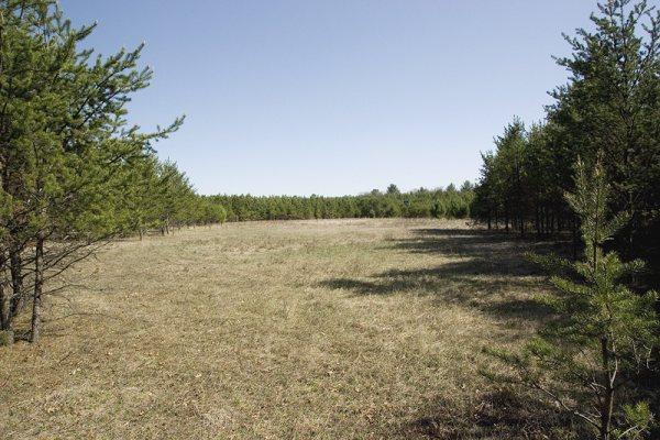 Prime Central Wisconsin Real Estate