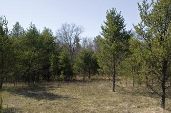Just A Short Drive Over To Lake Petenwell