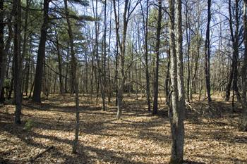 Photo Of Adams County Cheap Land For Sale