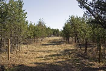 Paved Road Frontage Gives You Smooth Access To Property!