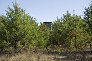 Prime Hunting Spot Abundant In Wildlife