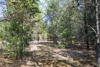 Unique Vacant Land Parcel For Sale