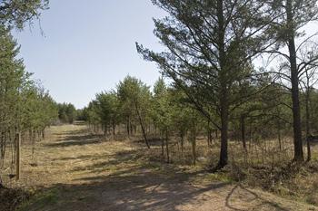 Adams County Land For Sale