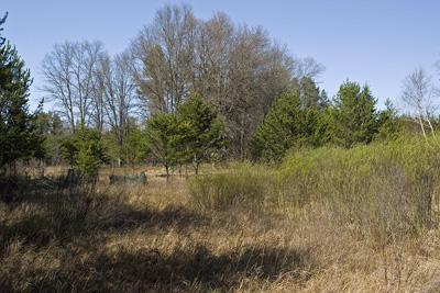 Build your dream home on 8 private, wooded acres