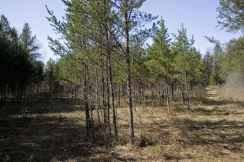 Nearby ATV Routes For Recreational Fun