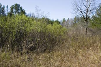 Reserve Your Piece Of Adams County, Central Wisconsin Today!