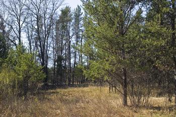 One Of A Kind Buildable Lot With Additional Lots Available