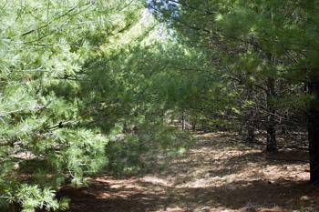 3 Other Available Lots For Sale Near Castle Rock Lake!