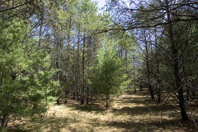 5 Acres Of Real Estate Near State Public Land