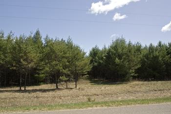 Paved Road Frontage Gives Access Right To Property!