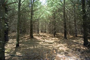 Centrally Located Around Wisconsin Lakes!