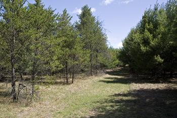 Land Available In Adams Township, Adams County, WI!