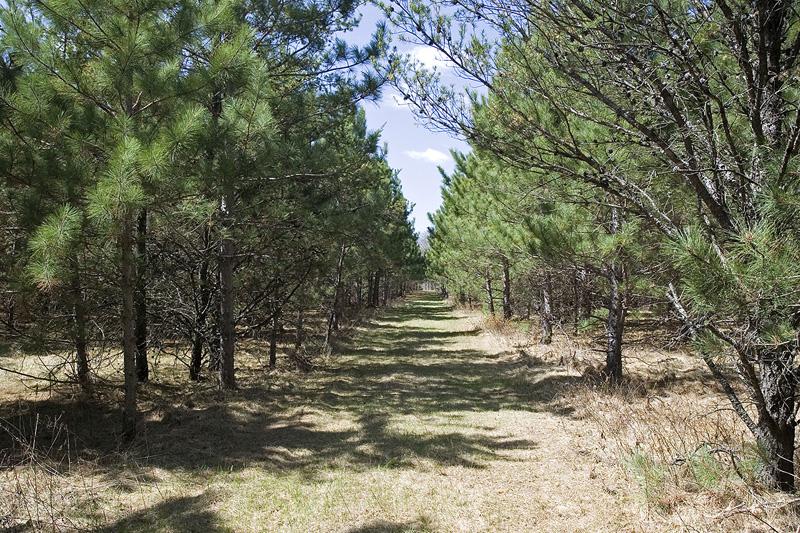 Enjoy Nature Trails Throughout The Property
