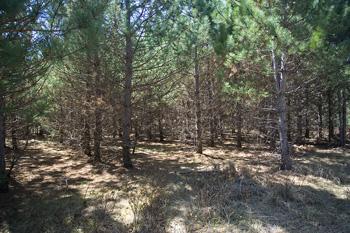 Enjoy Wisconsin Wetlands Natural Area For Extra Recreation!