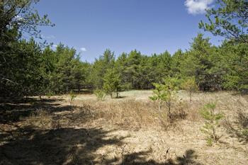Take A Short Drive To The Wisconsin River!
