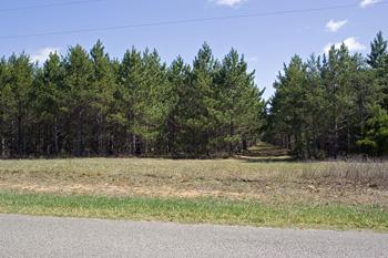 Cheap Vacant Land For Sale With Paved Road Frontage!
