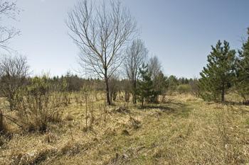 Create Your Own Nature Trails To View The Wildlife!