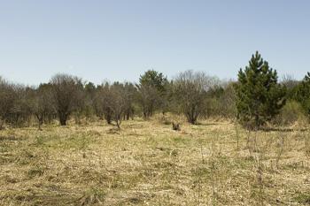 Central Wisconsin Real Estate For Sale!