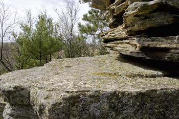 Prime Central Wisconsin Real Estate For Sale!