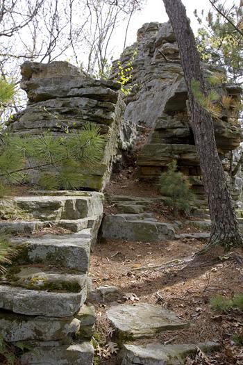 Buildable Hunting Acreage At A Cheap Price!