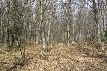 Central Wisconsin Real Estate For Sale!