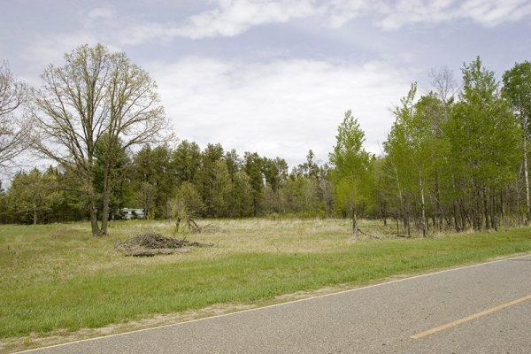 Paved Road Frontage Gives Easy Access To Property