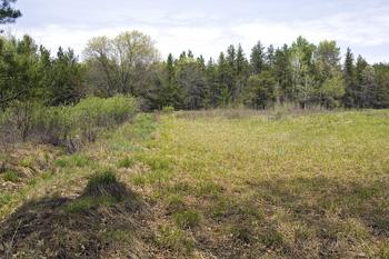 Affordable Hunting Acreage For Sale!