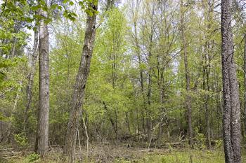 Enjoy The Sandy Beach & Swimming Area At The County Park!
