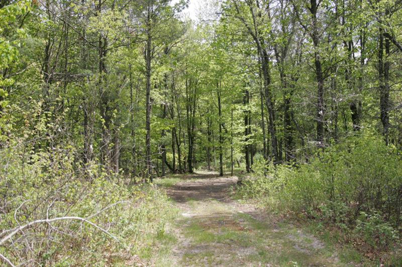 Property Is Abundant In Nature & Hiking Trails!