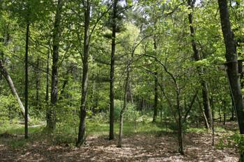 Country Homesite On ATV Routes!