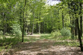 Gorgeous Land Abundant In Wildlife!