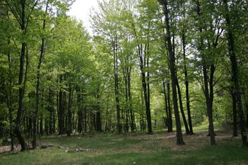 Camp While You Build Your Dream Home!