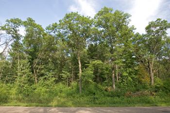 Vacant Land In Crystal Brook Woods Subdivision!