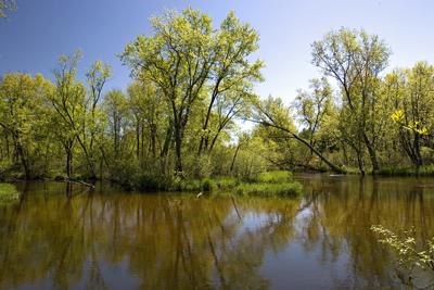 Central Wisconsin Wooded Land For Sale!