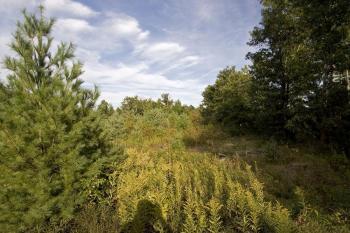 Property Abutts Land Open To The Public!