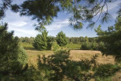 Prime Wooded Lot For Sale Abutting Public Land