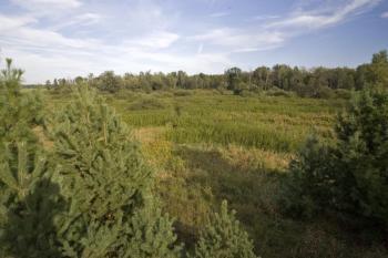Build That Dream Log Home In Central Wisconsin!